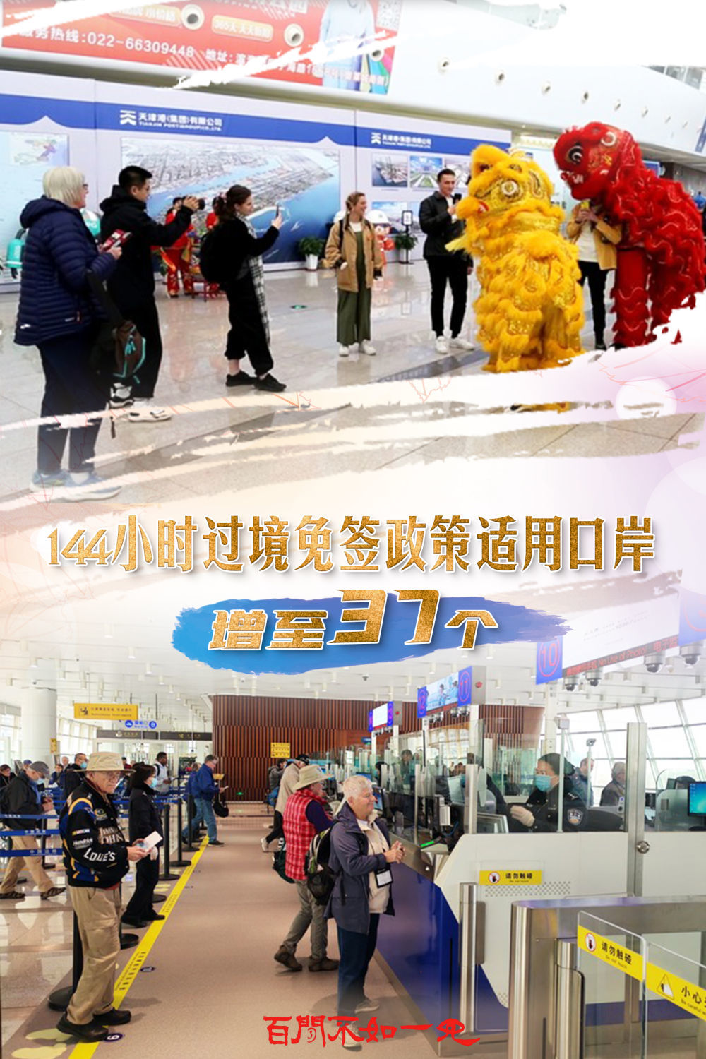 澳門王中王，揭秘一肖一特一中奧秘，澳門王中王揭秘生肖秘密，一肖一特一中奧秘探秘