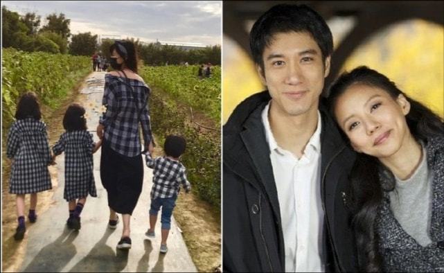 李靚蕾的家世背景深度解析，李靚蕾家世背景深度探究