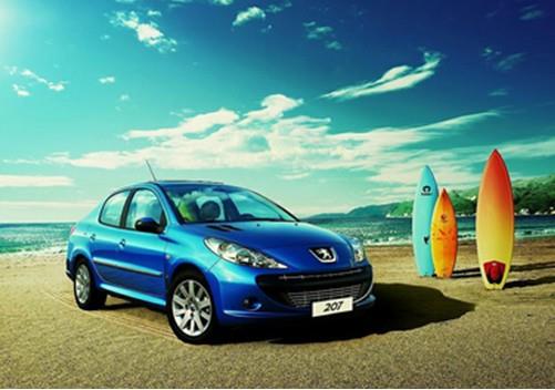 王中王307期指一生肖——深度解讀與SEO優(yōu)化，王中王307期生肖深度解讀與SEO優(yōu)化策略揭秘