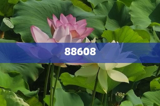 2025正版資料免費(fèi)公開，獲取優(yōu)質(zhì)資源的全新時(shí)代，優(yōu)質(zhì)資源免費(fèi)公開，開啟全新時(shí)代獲取優(yōu)質(zhì)資料之旅