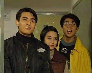 陳龍電視劇作品回顧，一部部經(jīng)典之作，陳龍經(jīng)典電視劇作品回顧，一部部鑄就傳奇的佳作