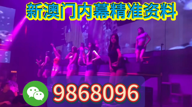 新澳門今晚開特馬，探索澳門博彩文化背后的秘密，澳門博彩文化揭秘，探尋特馬背后的秘密