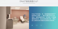 無創(chuàng)DNA檢測費用詳解，多少錢一次？，無創(chuàng)DNA檢測費用全面解析，價格究竟是多少？
