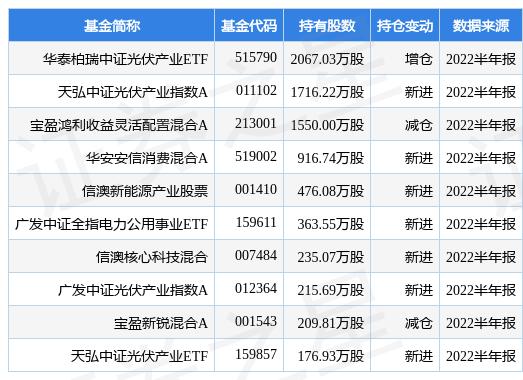 吉電股份股票股吧，深度解析與前景展望，吉電股份股票股吧深度解析及前景展望
