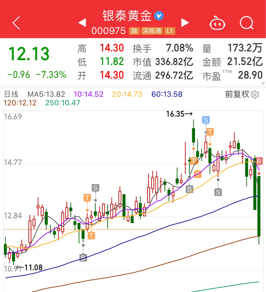 銀泰黃金股票，深度解析與投資前景展望，銀泰黃金股票深度剖析與未來(lái)投資前景展望