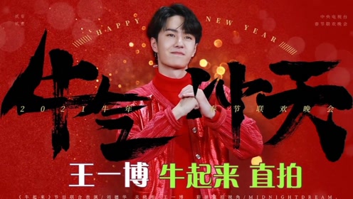 揭秘中王王中王一肖中特的神秘面紗，深度解析SEO關鍵詞，揭秘中王王中王一肖中特的秘密，深度解析SEO關鍵詞的秘密面紗