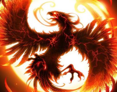 王中王精準一肖中鳳凰，揭秘預測之謎，揭秘王中王精準預測一肖中鳳凰的奧秘