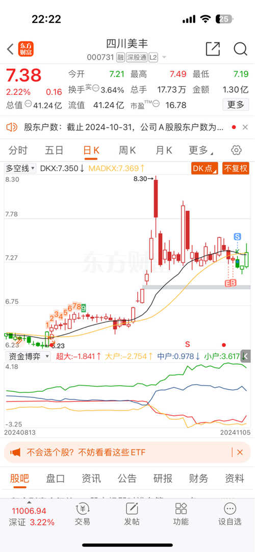 四川美豐股份股票，深度解析與發(fā)展前景展望，四川美豐股份股票深度解析與未來發(fā)展前景展望