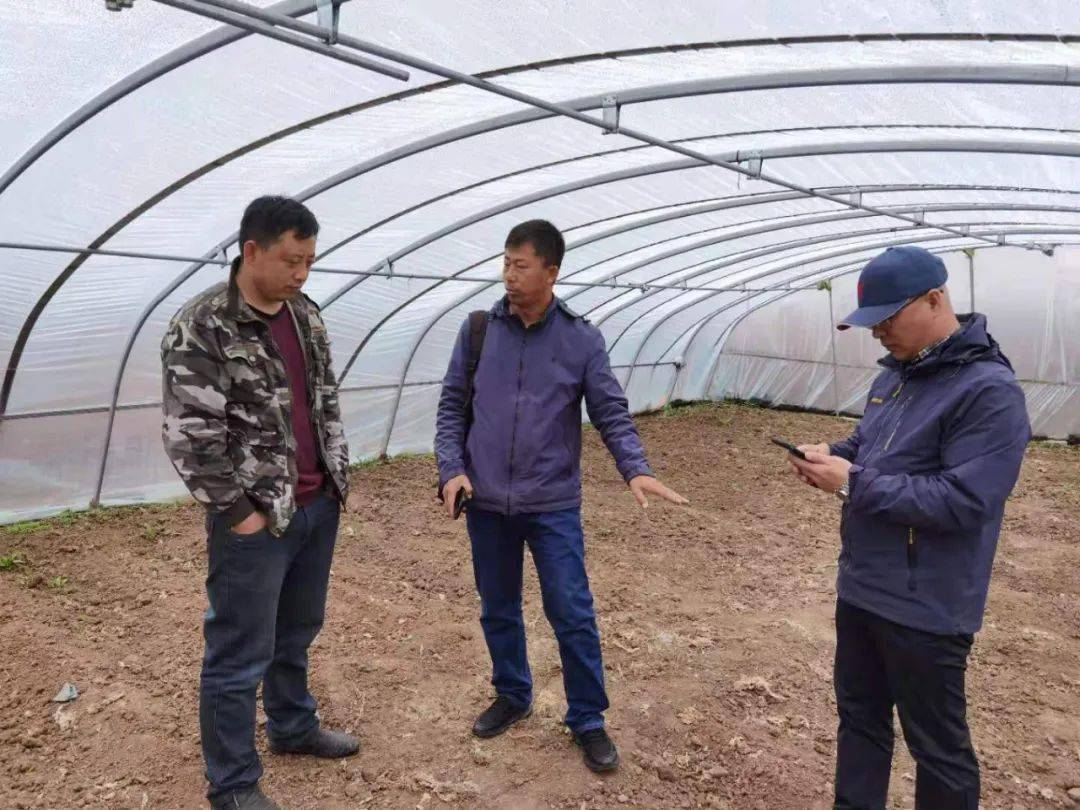 新澳門王中王100%期期中——揭秘彩票秘密，掌握中獎之道，揭秘新澳門王中王彩票中獎秘訣，掌握中獎之道，期期中！