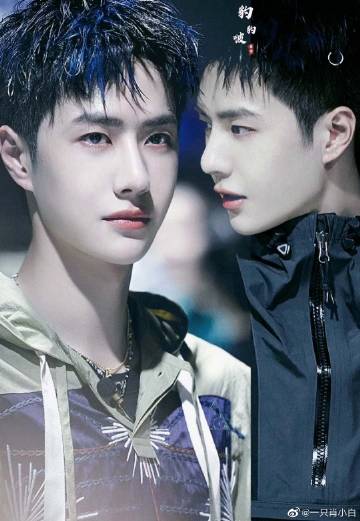 王中王一肖資料解析，一肖特的獨特魅力，王中王一肖資料深度解析，一肖特的獨特魅力探究