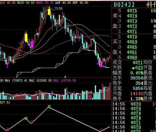 關(guān)于股票投資，深度解析002422股票的投資價(jià)值，深度解析，股票投資中的002422股票投資價(jià)值探究