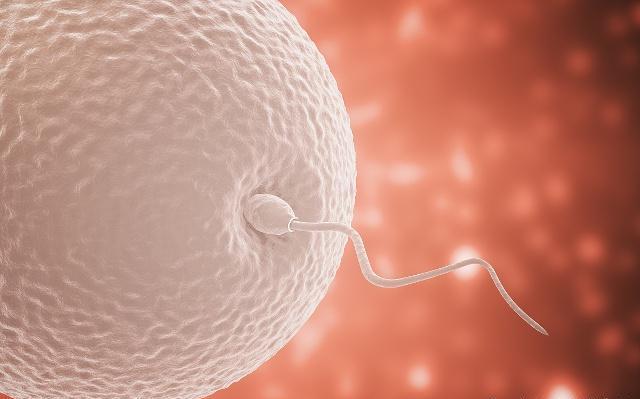 女人受孕最佳時(shí)間，掌握科學(xué)知識(shí)，迎接新生活，女人受孕最佳時(shí)間，科學(xué)指導(dǎo)下的新生活啟程