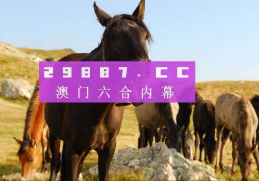 澳門八百圖庫(kù)開獎(jiǎng)最快——全面解析與實(shí)用指南，澳門八百圖庫(kù)開獎(jiǎng)最快，全面解析與實(shí)用指南手冊(cè)