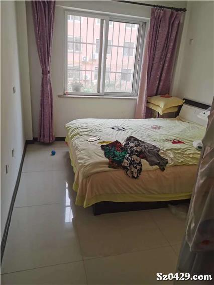 大皇王中王一肖，揭秘背后的秘密與策略，揭秘大皇王中王一肖背后的秘密與策略