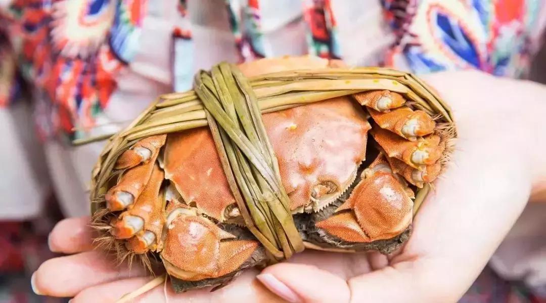 關(guān)于螃蟹死亡后能否食用的探討——聚焦24小時之內(nèi)死了的螃蟹能否食用問題，關(guān)于螃蟹死亡后能否食用的探討，聚焦螃蟹死亡24小時內(nèi)食用問題