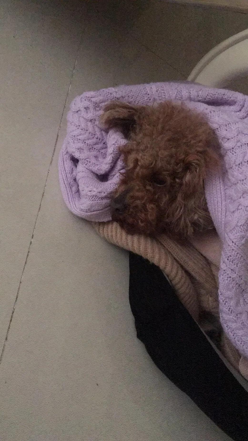 急性腸胃炎如何緩解，有效的應(yīng)對(duì)方法，急性腸胃炎緩解攻略，有效應(yīng)對(duì)方法大盤點(diǎn)