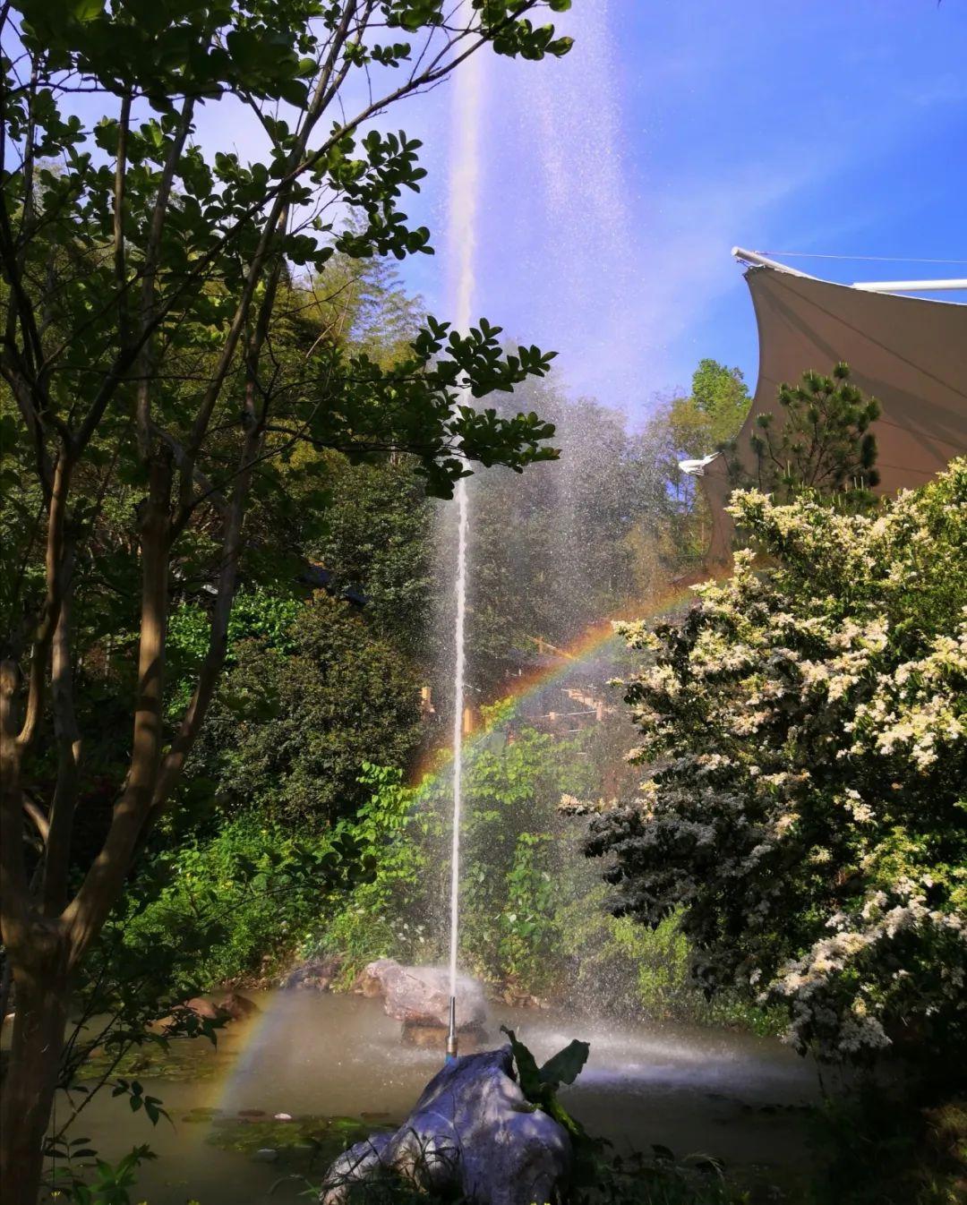 廬山西海自駕游玩攻略，廬山西海自駕游攻略指南