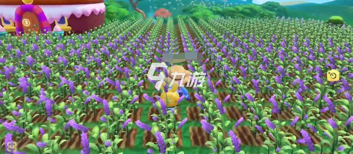 摩爾莊園紫羅蘭種子，種植與優(yōu)化的SEO策略，摩爾莊園紫羅蘭種子種植與SEO策略優(yōu)化指南