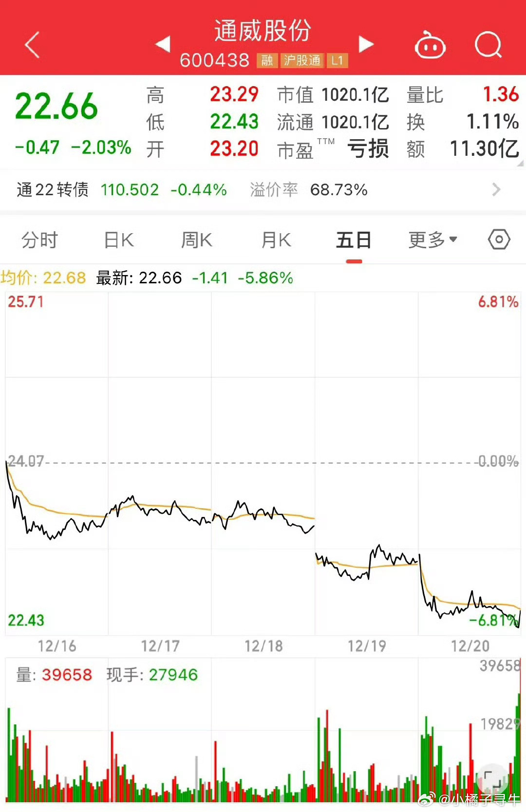 通威股份股票東方，探索與前景展望，通威股份股票東方，探索之路與前景展望