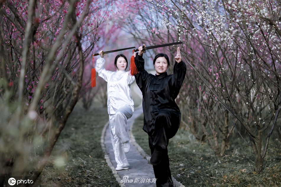 揭秘劉伯溫一期一肖期期中的奧秘與真相，劉伯溫一期一肖期奧秘與真相揭秘