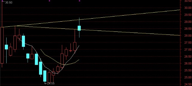 探索神秘的股市密碼，關(guān)于002554股吧的深度解析，深度解析股市密碼，揭秘002554股吧奧秘