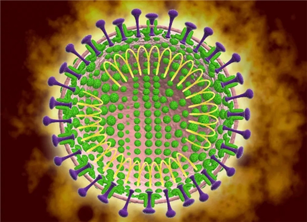 新型冠狀病毒的治療方法，科學(xué)應(yīng)對(duì)，守護(hù)健康，科學(xué)應(yīng)對(duì)新型冠狀病毒，治療方法與守護(hù)健康之道
