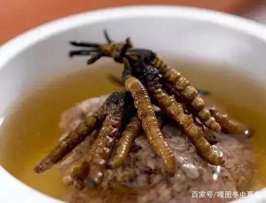 蟲草的最佳吃法，蟲草的最佳食用方法