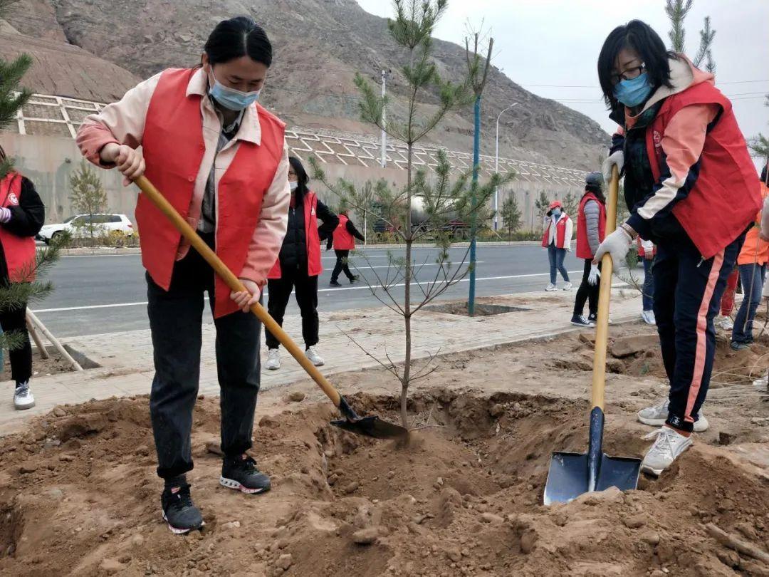 天下彩天天空彩資料免費(fèi)大全管家，探索與解析，天下彩天天空彩資料大全管家，深度探索與解析