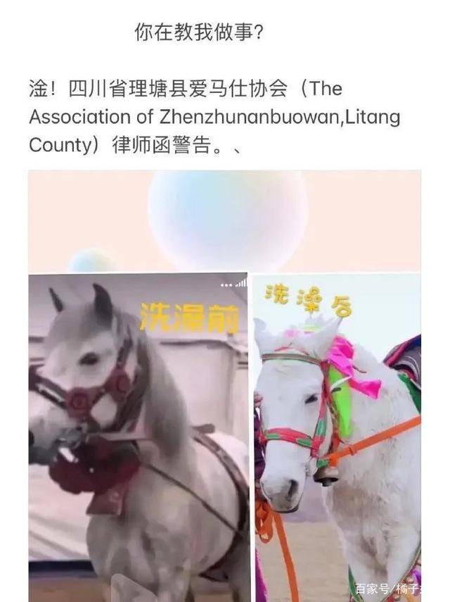 一馬爆特圖，揭秘背后的故事與SEO優(yōu)化策略，揭秘一馬爆特圖的背后故事與SEO優(yōu)化策略全攻略