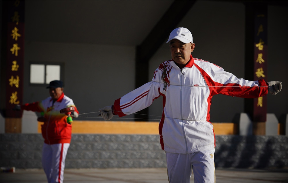 劉伯溫一肖資料深度解析，劉伯溫一肖資料深度剖析