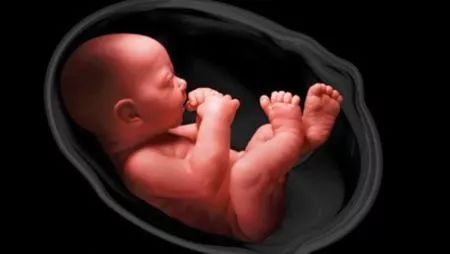 孕婦嚴(yán)重缺鈣的征兆，了解并預(yù)防早期跡象，孕婦嚴(yán)重缺鈣征兆解析，早期預(yù)防與識(shí)別關(guān)鍵跡象