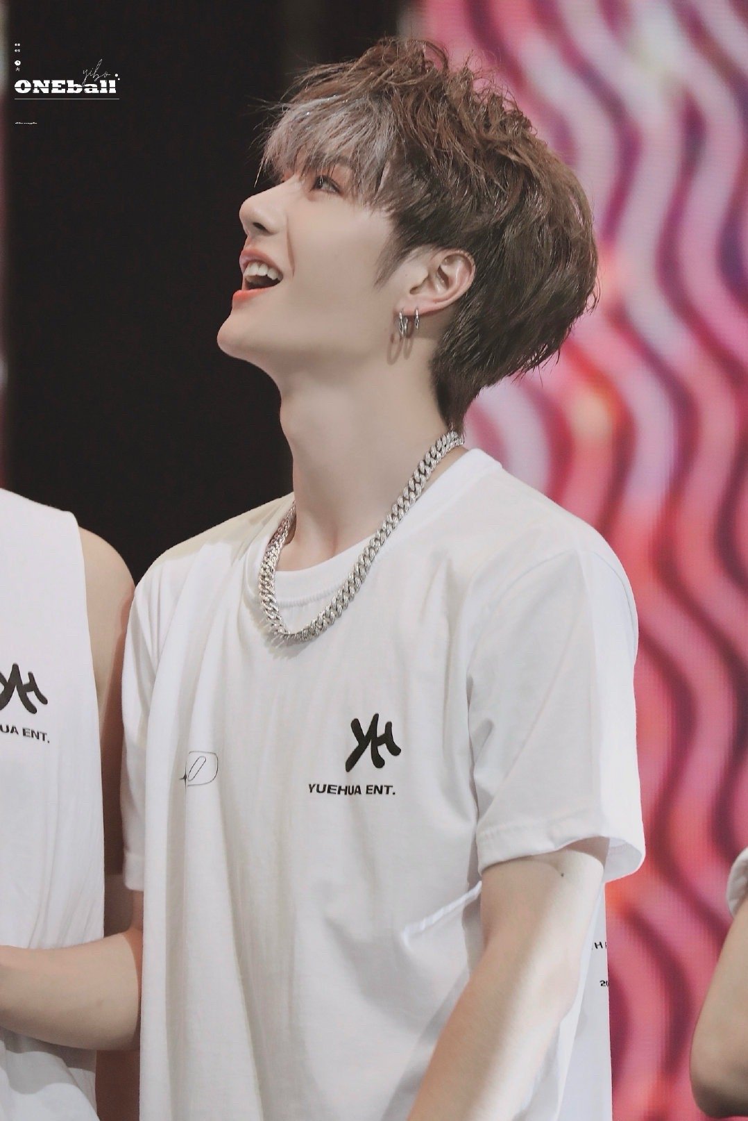 管家婆王中王一肖圖，揭秘背后的故事與神秘魅力，揭秘管家婆王中王一肖圖的神秘面紗與背后故事