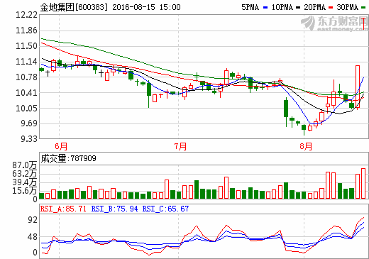 關(guān)于600383的最新消息全面解析，600383最新消息全面解析