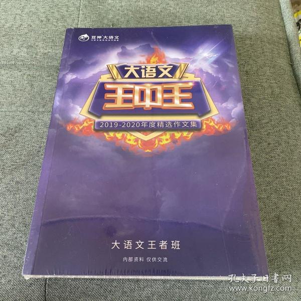 王中王資料2019一肖，深度解析與最新資訊，王中王資料2019一肖深度解析與最新資訊匯總