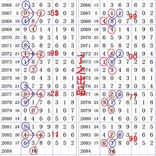 王中王三肖選一碼，揭秘背后的秘密與策略，揭秘王中王三肖選一碼背后的秘密與策略之道