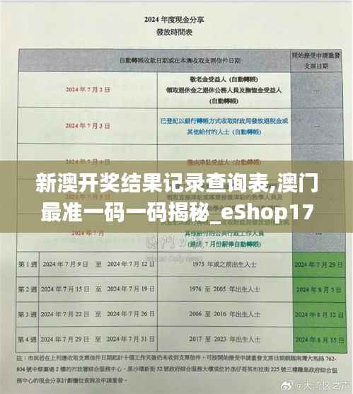 新澳門搖號記錄表查詢，全面解析與實用指南，澳門彩票搖號記錄表查詢解析與實用指南