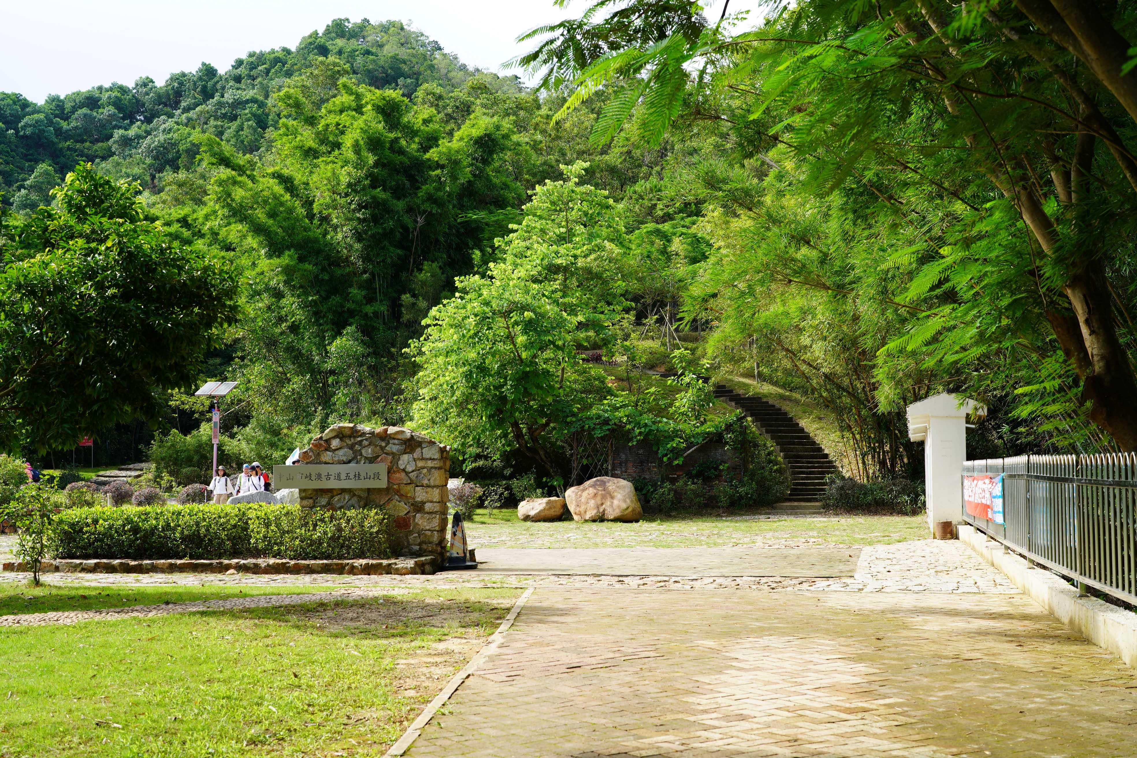 新奧門彩出號綜合走勢分析，新奧門彩出號綜合走勢解析