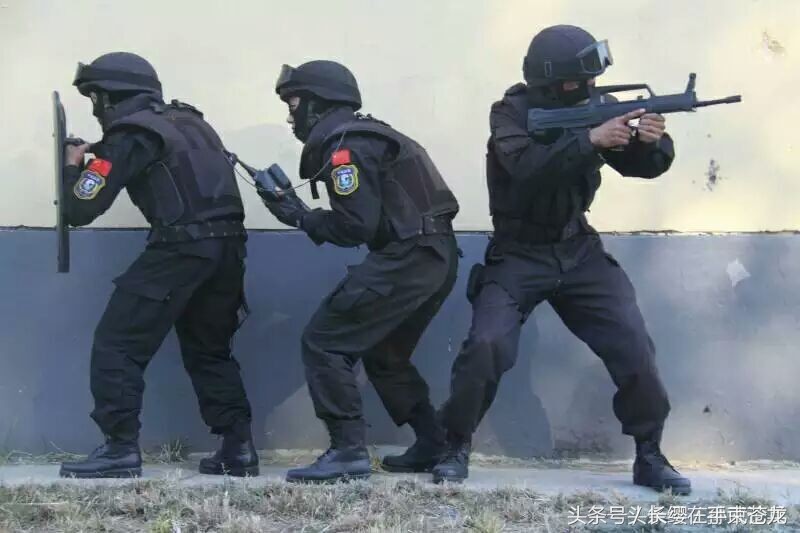 雪豹突擊隊(duì)，神秘力量背后的故事，雪豹突擊隊(duì)，神秘力量背后的傳奇故事