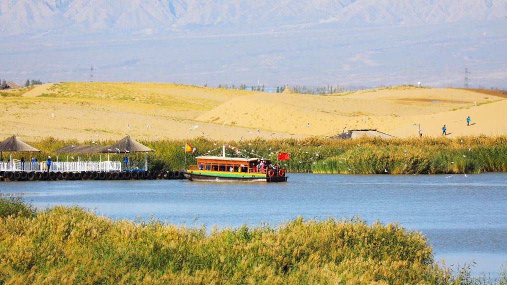 寧夏沙湖旅游景點介紹，寧夏沙湖旅游勝地探秘，景點詳解