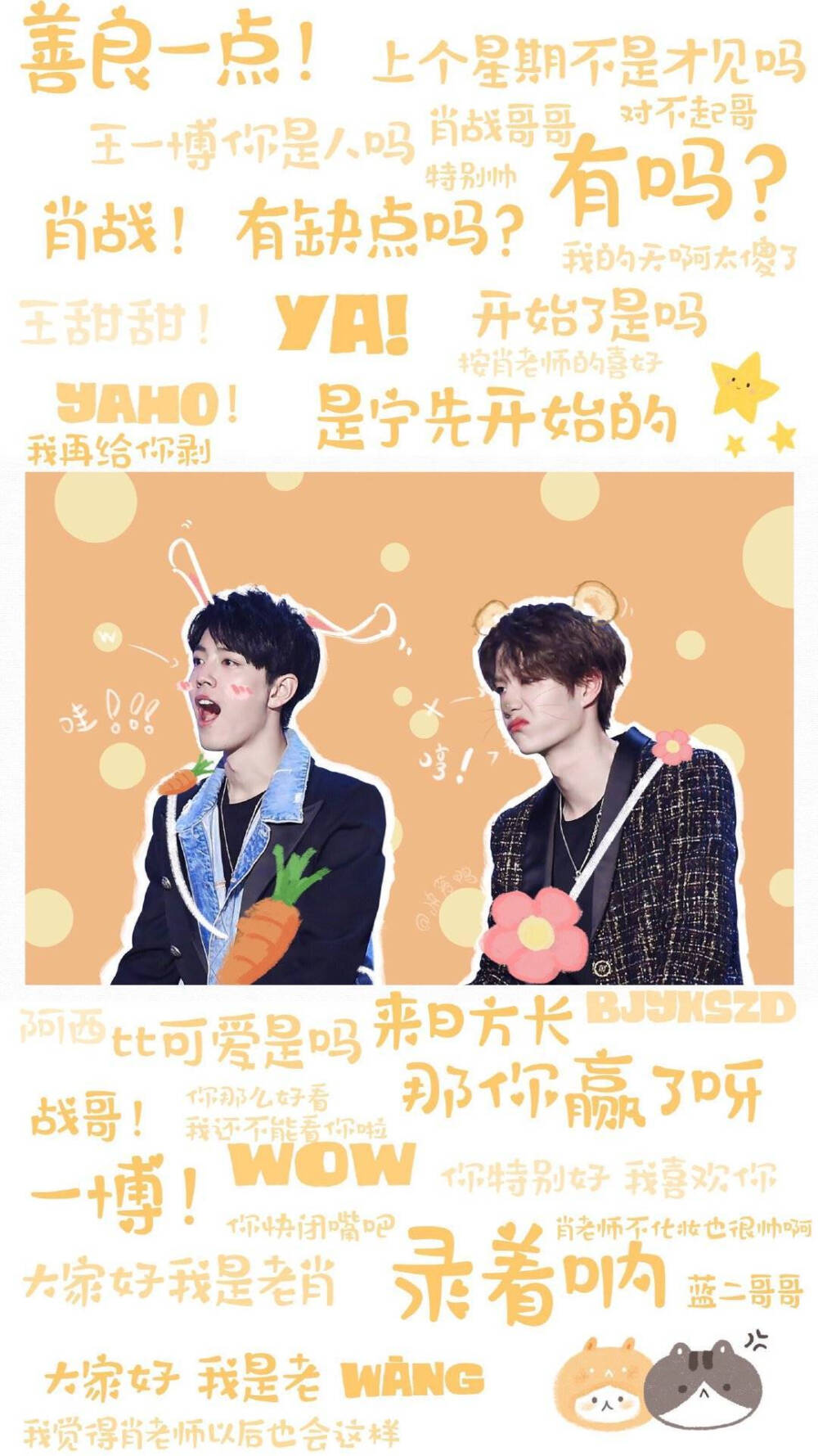 王中王一肖中特下，探尋背后的秘密與奧秘，探尋王中王一肖中特背后的秘密與奧秘