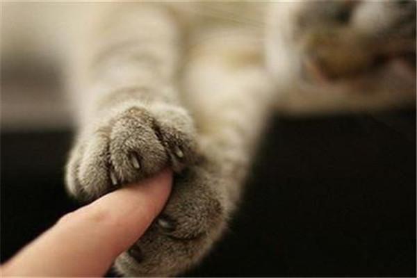 腦萎縮最佳治療方法，探索與理解，腦萎縮最佳治療方法，探索、理解與應(yīng)對(duì)