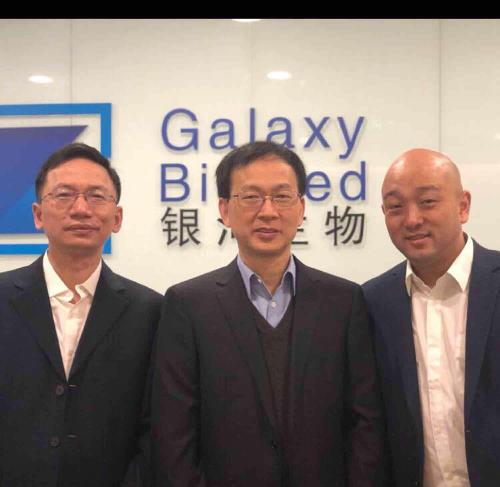 關(guān)于代碼000806的奧秘，深度解析與SEO優(yōu)化策略，代碼000806奧秘揭秘，深度解析與SEO優(yōu)化策略探討