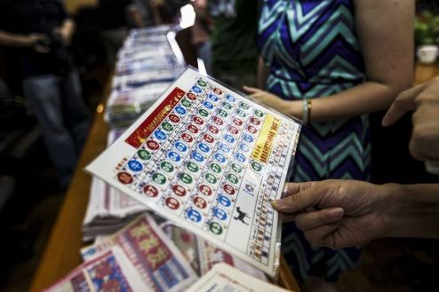 王中王的一肖中特馬——探尋背后的奧秘與魅力，王中王一肖特馬背后的奧秘與魅力探尋