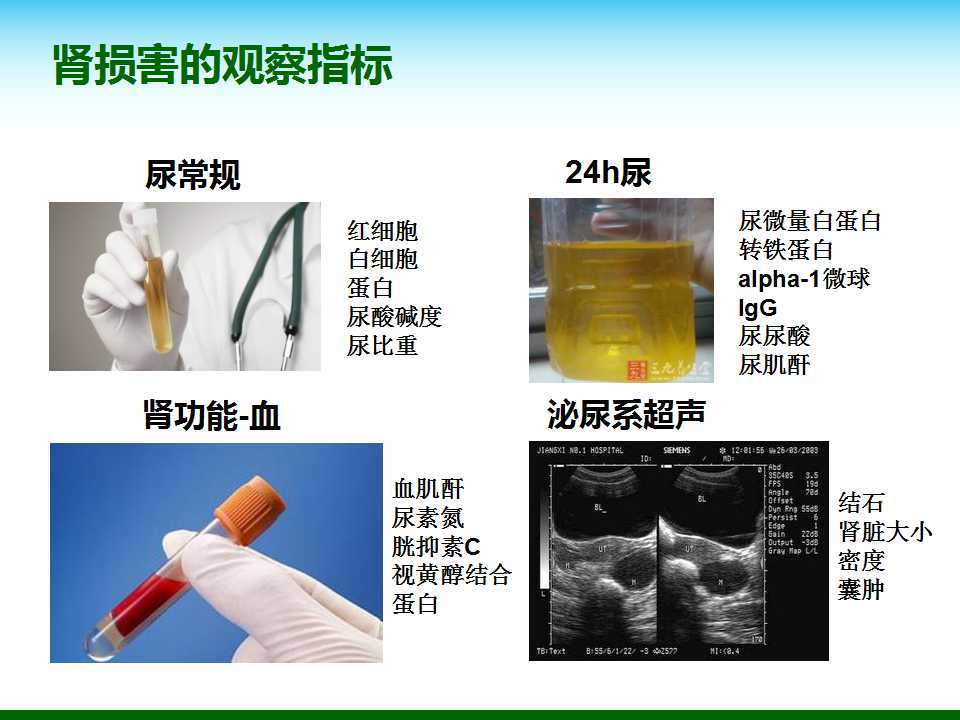 尿酸水平升高與腎臟健康，尿酸460是否意味著腎臟已經(jīng)受損？，尿酸水平升高與腎臟健康關(guān)系解析，尿酸460是否預(yù)示腎臟受損？