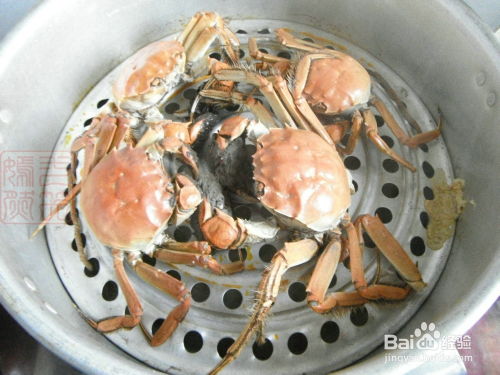 探索海鮮美味，正確的蒸螃蟹方法，探索海鮮美味之旅，正確蒸螃蟹的方法分享