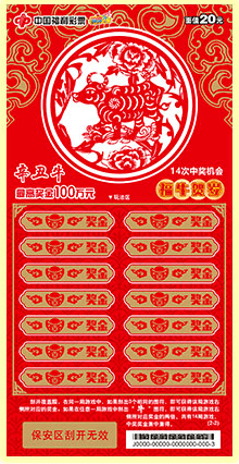 揭秘2020王中王平特一肖的神秘面紗，揭秘王中王平特一肖，神秘面紗下的真相