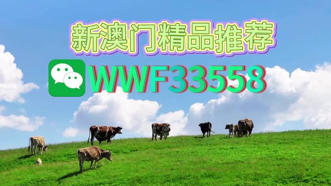 揭秘今晚9點30生肖運勢，你的生肖運勢如何？，揭秘今晚9點30生肖運勢，你的生肖運勢走向如何？