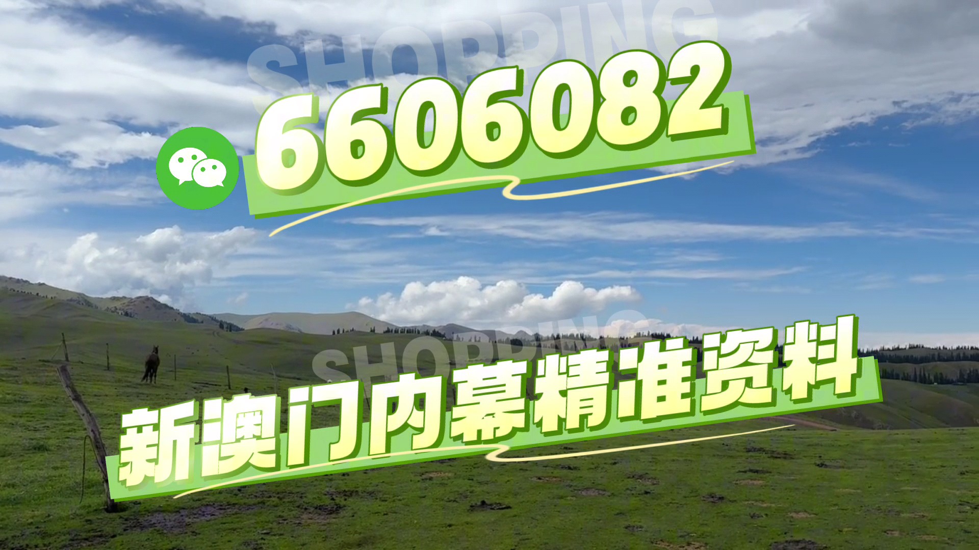 澳門特馬今晚開獎(jiǎng)億彩網(wǎng)，探索彩票的未來與策略，澳門特馬今晚開獎(jiǎng)億彩網(wǎng)，彩票未來趨勢與策略探索