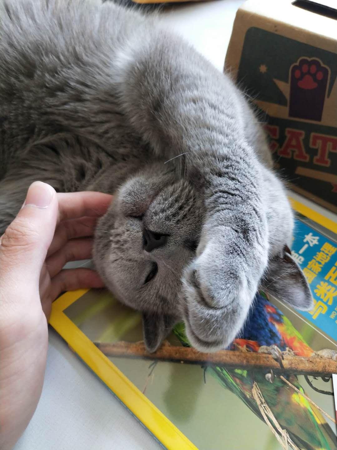 解決打呼嚕只需一杯水？真相揭秘與實用建議，解決打呼嚕只需一杯水？真相揭秘與實用方法總結