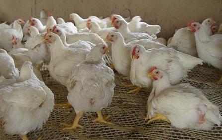 關(guān)于股票代碼002299的深入解析與前景展望，股票代碼002299深度解析與未來(lái)前景展望